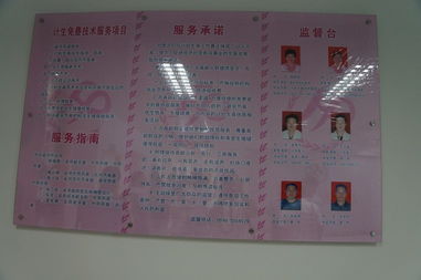 領先CMS建站服務商 專注研發，賦能高效建站